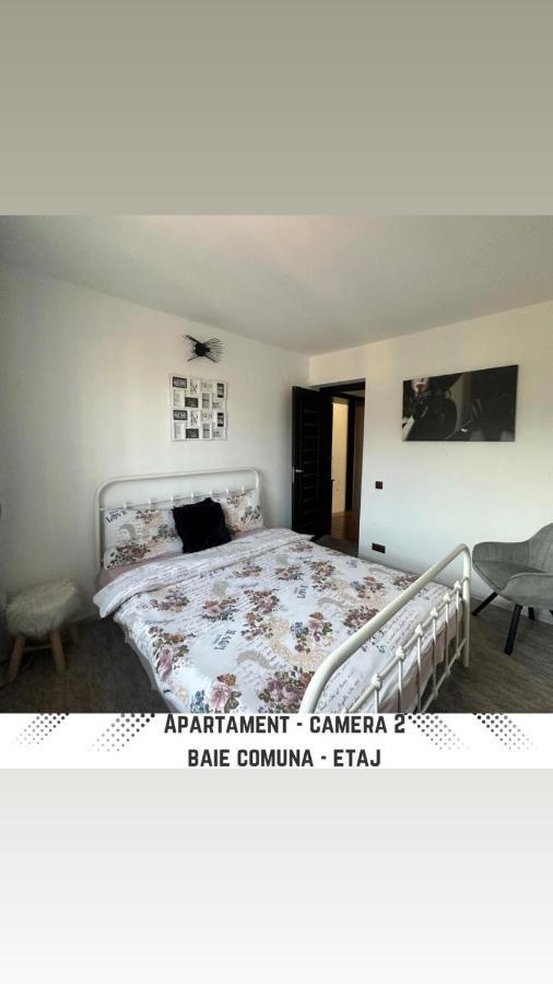Vila Mik Guesthouse 萨彻勒 外观 照片